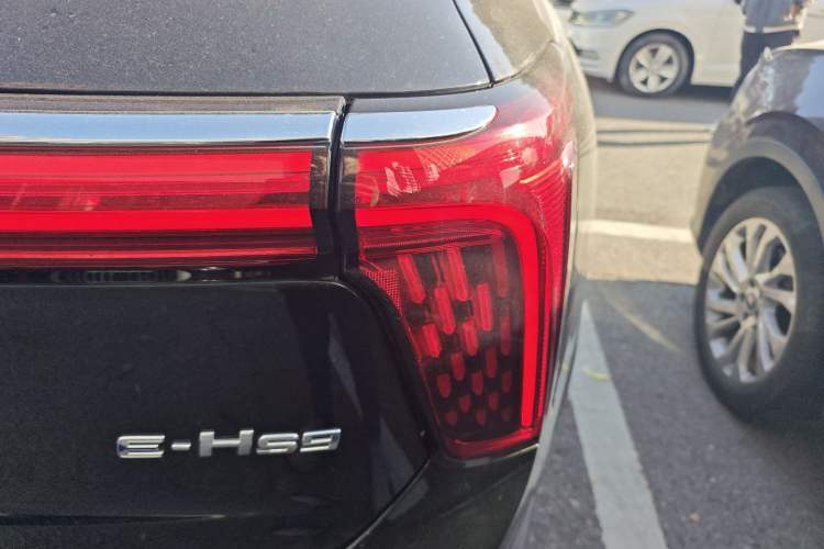 Used Hongqi E-HS9 2021 460 km Range Flagship Edition Six-Seater Exterior 2