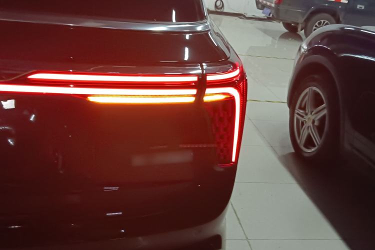 Used Hongqi E-HS9 2021 510 km Range Flagway Edition Six Seats Exterior 3