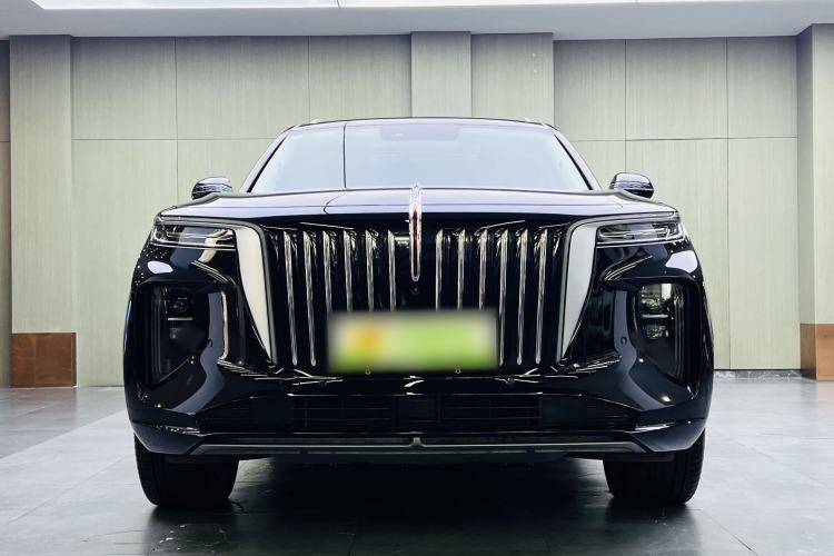 Used Hongqi E-HS9 2021 460 km Range Flagship Edition Six-Seater Exterior 3