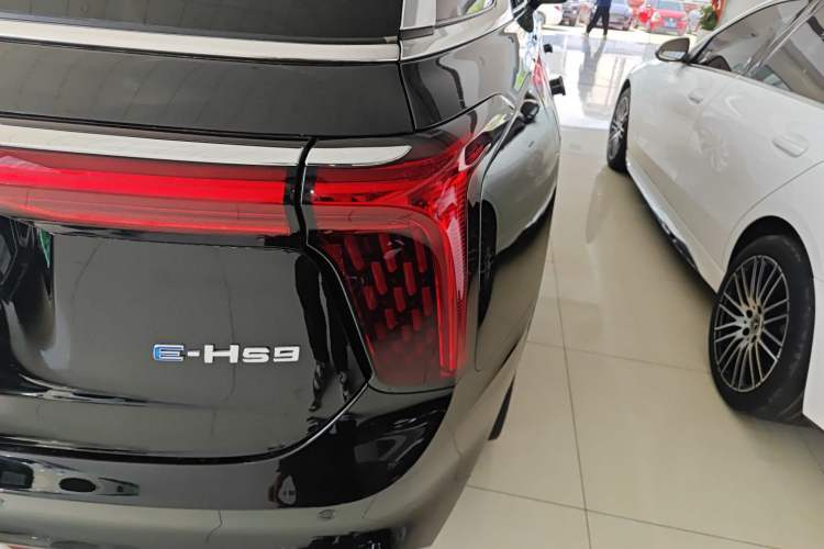 Used Hongqi E-HS9 2021 510 km Flagship Edition Four Seats Exterior 3