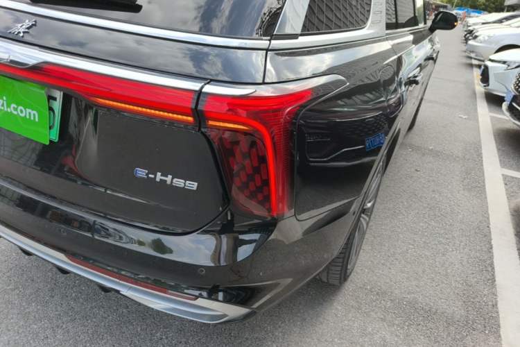 Used Hongqi E-HS9 2021 460 km Range Flagship Edition Six-Seater Exterior 3