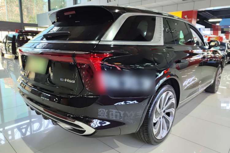 Used Hongqi E-HS9 2021 510 km Flagship Edition Four Seats Exterior 3