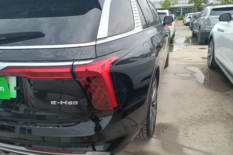 Used Hongqi E-HS9 2021 460 km Range Flagship Edition Six-Seater Exterior 3