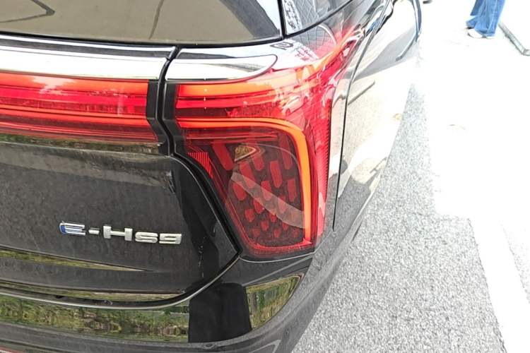 Used Hongqi E-HS9 2021 460 km Range Flagship Edition Six-Seater Exterior 3