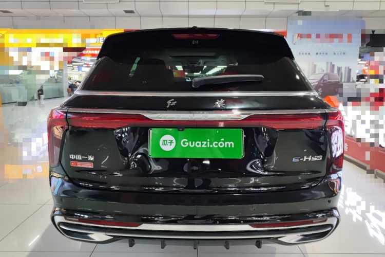 Used Hongqi E-HS9 2021 510 km Flagship Edition Four Seats Exterior 4