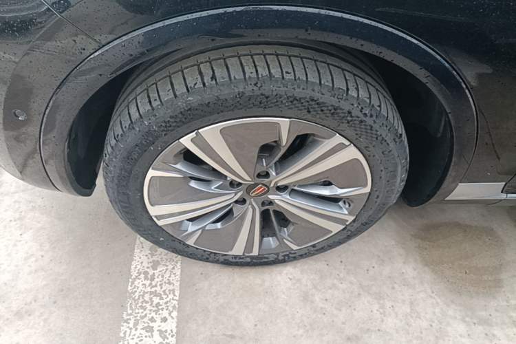 Used Hongqi E-HS9 2021 460 km Range Flagship Edition Six-Seater Exterior 4