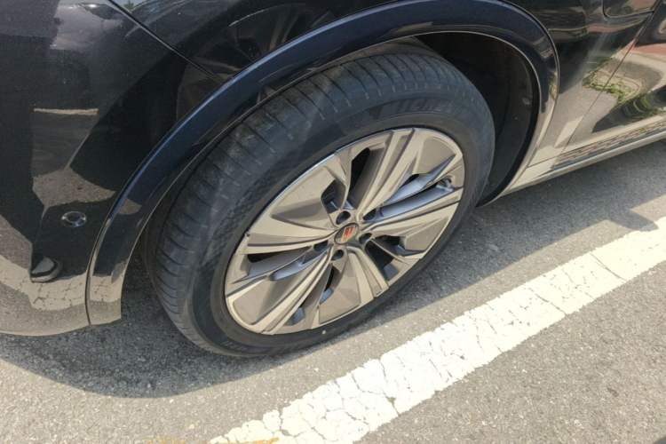 Used Hongqi E-HS9 2021 460 km Range Flagship Edition Six-Seater Exterior 4