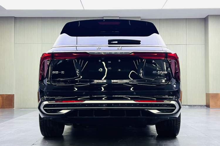 Used Hongqi E-HS9 2021 460 km Range Flagship Edition Six-Seater Exterior 6