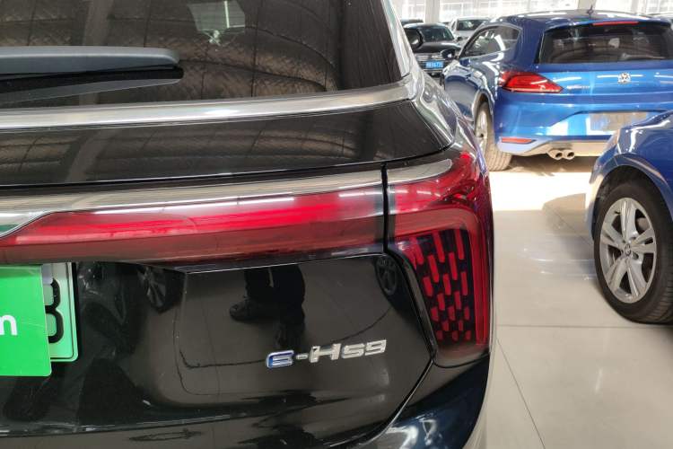 Used Hongqi E-HS9 2021 460 km Range Flagship Edition Six-Seater Exterior 6