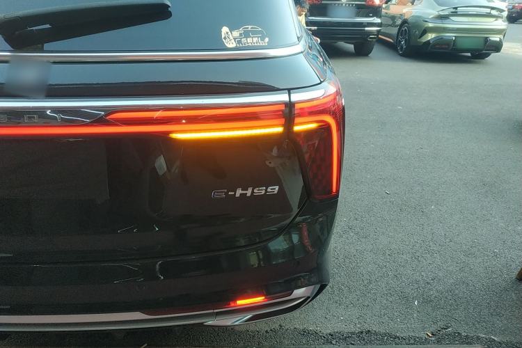 Used Hongqi E-HS9 2021 460 km Range Flagship Edition Six-Seater Exterior 6