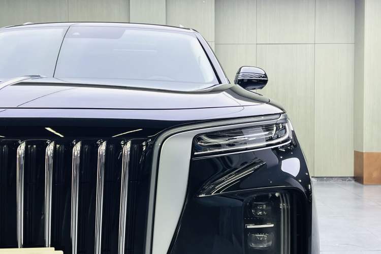 Used Hongqi E-HS9 2021 460 km Range Flagship Edition Six-Seater Exterior 8