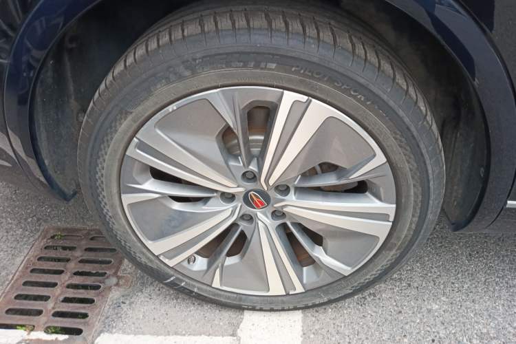 Used Hongqi E-HS9 2021 460 km Range Flagship Edition Six-Seater Exterior 8