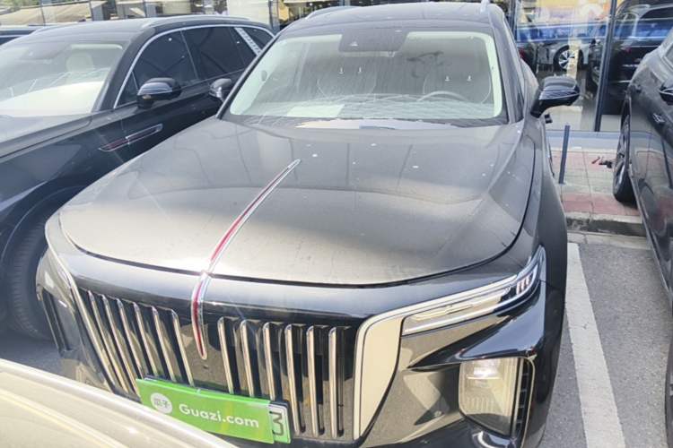 Used Hongqi E-HS9 2021 460 km Range Flagship Edition Six-Seater Front