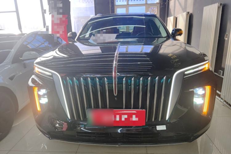 Used Hongqi E-HS9 2021 460 km Range Flagship Edition Six-Seater Front