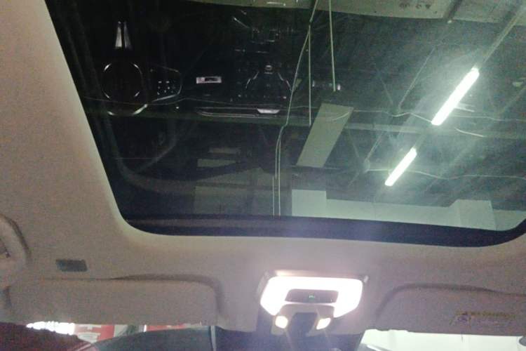 Used Hongqi E-HS9 2021 510 km Range Flagway Edition Six Seats Headliner