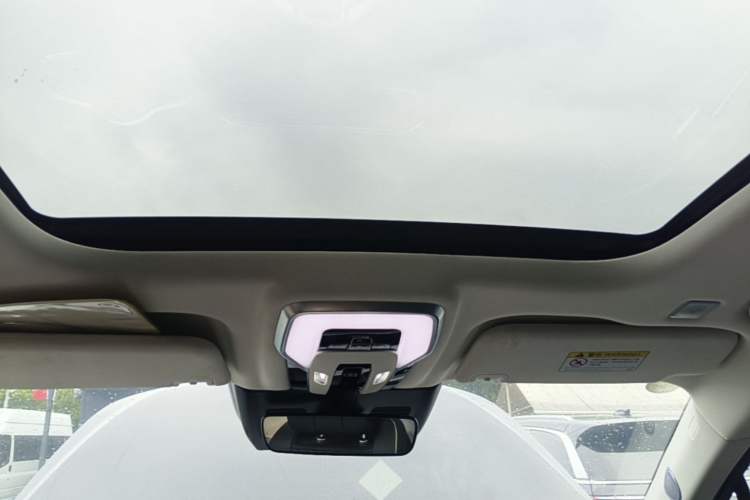 Used Hongqi E-HS9 2021 460 km Range Flagship Edition Six-Seater Headliner