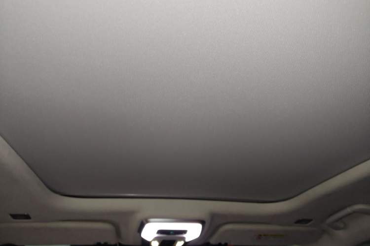 Used Hongqi E-HS9 2021 510 km Flagship Edition Four Seats Headliner