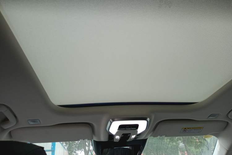 Used Hongqi E-HS9 2021 460 km Range Flagship Edition Six-Seater Headliner