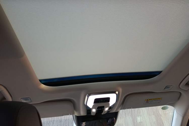 Used Hongqi E-HS9 2021 460 km Range Flagship Edition Six-Seater Headliner