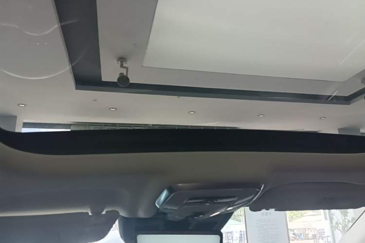 Used Hongqi E-HS9 2021 510 km Range Flagway Edition Six Seats Headliner