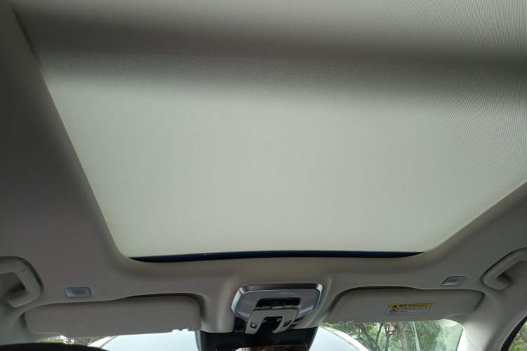 Used Hongqi E-HS9 2021 460 km Range Flagship Edition Six-Seater Headliner