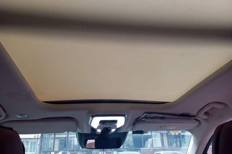 Used Hongqi E-HS9 2021 460 km Range Flagship Edition Six-Seater Headliner