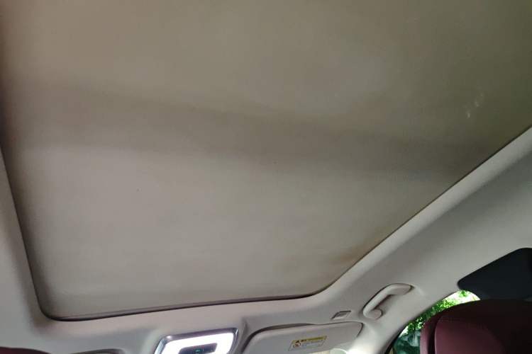 Used Hongqi E-HS9 2021 460 km Range Flagship Edition Six-Seater Headliner