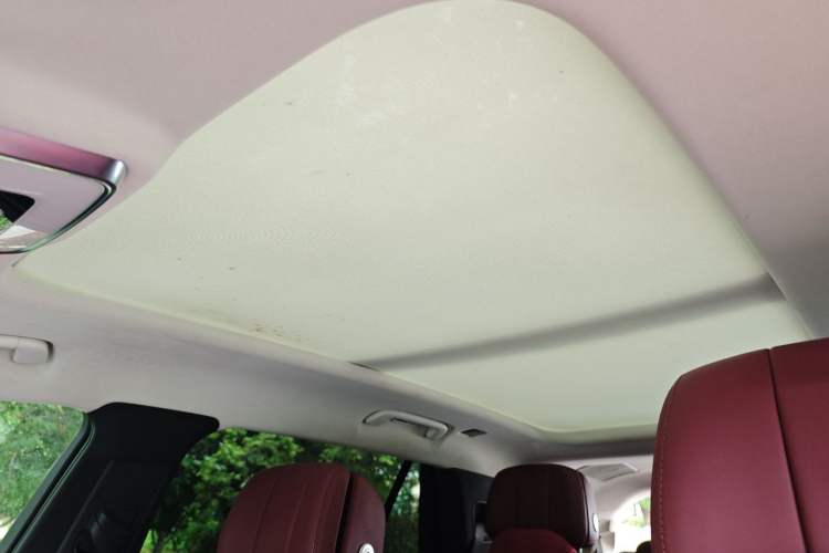 Used Hongqi E-HS9 2021 460 km Range Flagship Edition Six-Seater Headliner