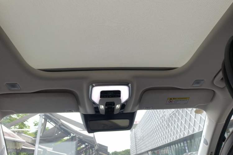 Used Hongqi E-HS9 2021 460 km Range Flagship Edition Six-Seater Headliner