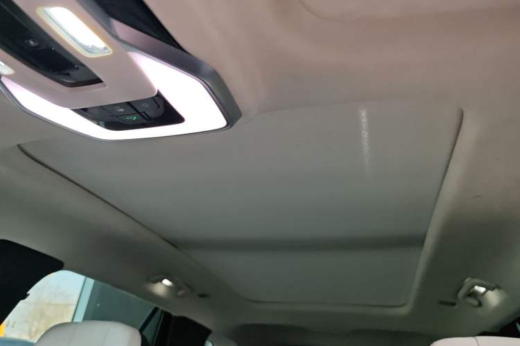 Used Hongqi E-HS9 2021 510 km Flagship Edition Four Seats Headliner