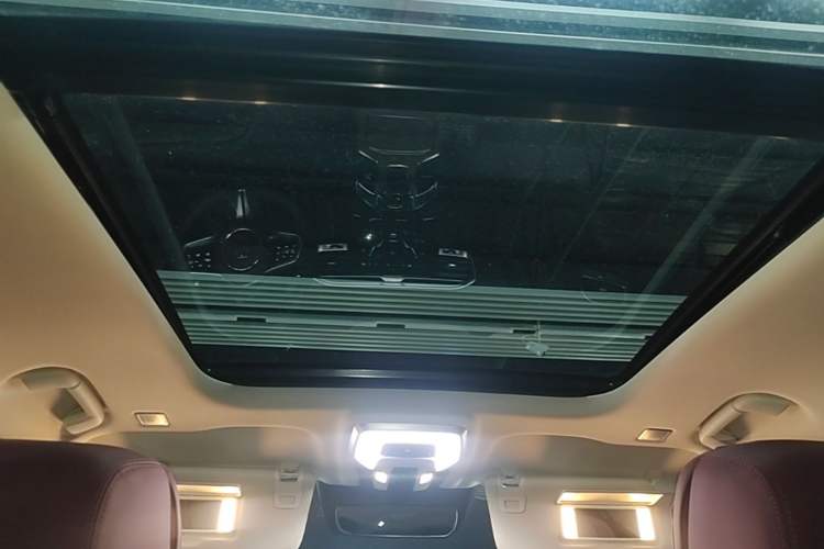 Used Hongqi E-HS9 2021 460 km Range Flagship Edition Six-Seater Headliner