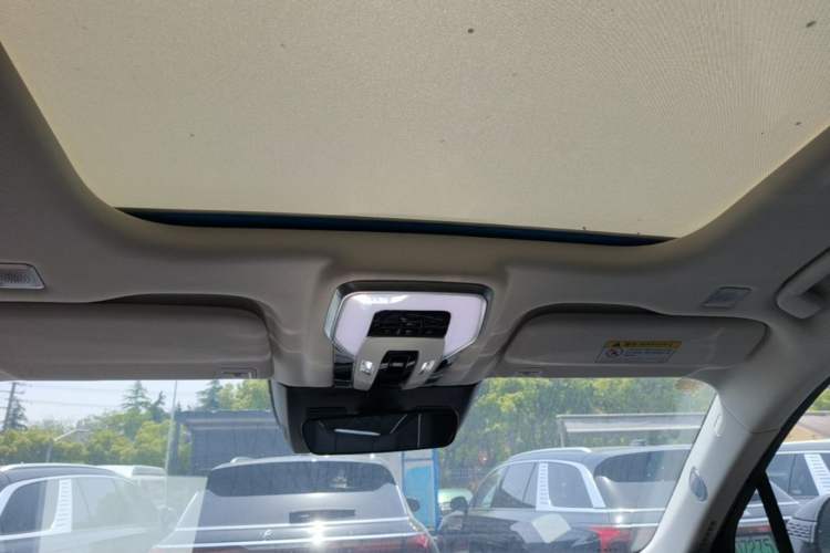 Used Hongqi E-HS9 2021 460 km Range Flagship Edition Six-Seater Headliner