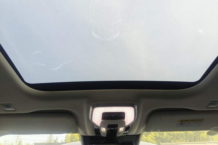 Used Hongqi E-HS9 2021 460 km Range Flagship Edition Six-Seater Headliner