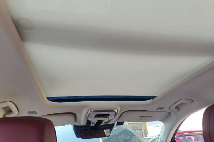 Used Hongqi E-HS9 2021 460 km Range Flagship Edition Six-Seater Headliner