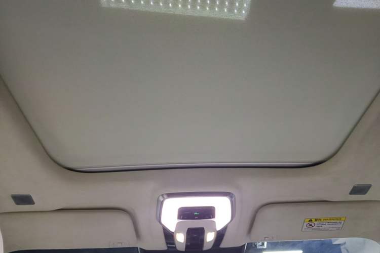 Used Hongqi E-HS9 2021 510 km Flagship Edition Four Seats Headliner