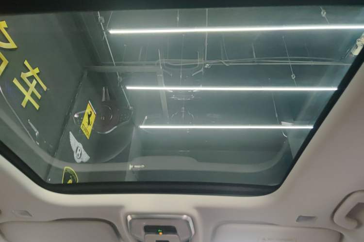 Used Hongqi E-HS9 2021 460 km Range Flagship Edition Six-Seater Headliner