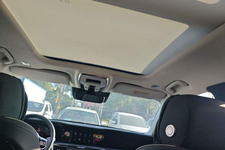 Used Hongqi E-HS9 2021 460 km Range Flagship Edition Six-Seater Headliner