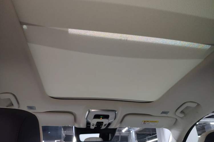 Used Hongqi E-HS9 2021 460 km Range Flagship Edition Six-Seater Headliner