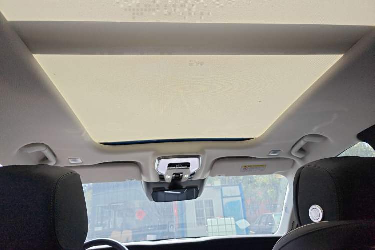 Used Hongqi E-HS9 2021 460 km Range Flagship Edition Six-Seater Headliner