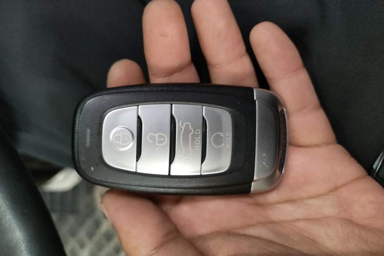 Used Hongqi E-HS9 2021 460 km Range Flagship Edition Six-Seater Interior 1