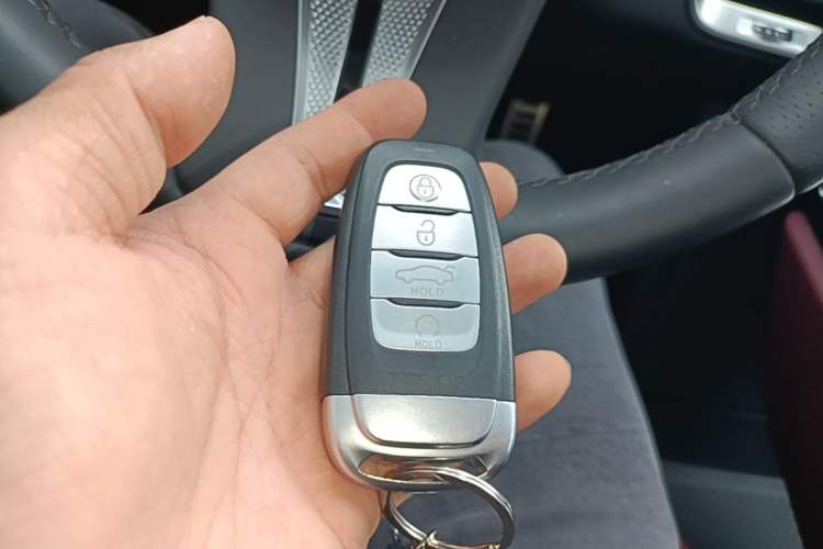 Used Hongqi E-HS9 2021 460 km Range Flagship Edition Six-Seater Interior 1