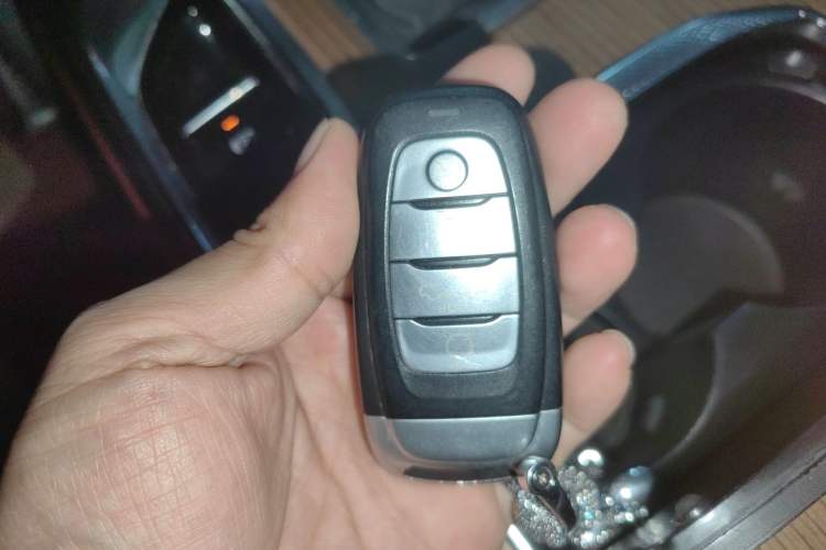 Used Hongqi E-HS9 2021 460 km Range Flagship Edition Six-Seater Interior 1