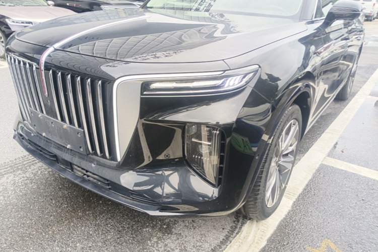 Used Hongqi E-HS9 2021 460 km Range Flagship Edition Six-Seater Left Front Headlight