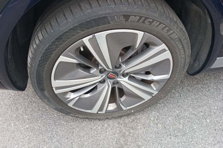Used Hongqi E-HS9 2021 460 km Range Flagship Edition Six-Seater Left Front Wheel Hub