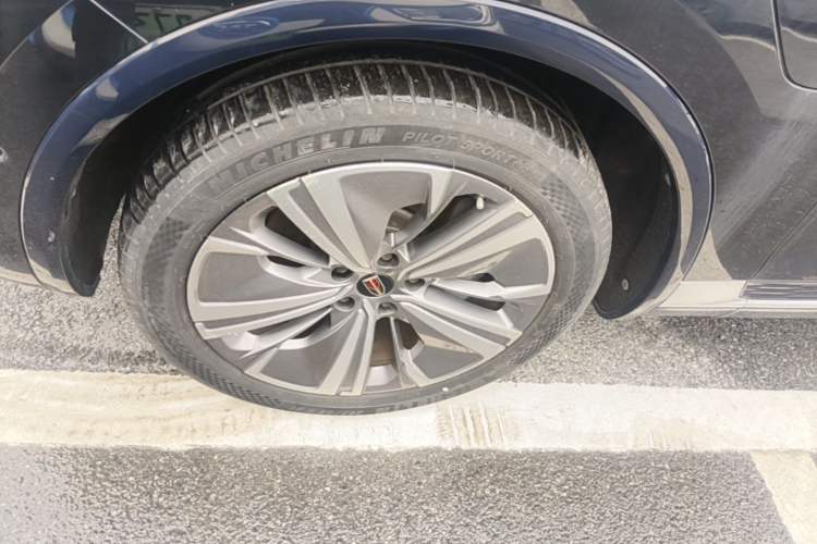 Used Hongqi E-HS9 2021 460 km Range Flagship Edition Six-Seater Left Front Wheel Hub