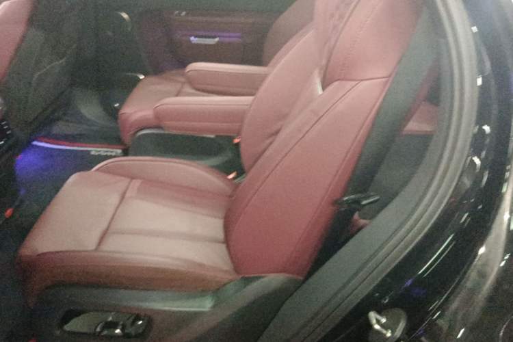 Used Hongqi E-HS9 2021 510 km Range Flagway Edition Six Seats Left Rear Seat
