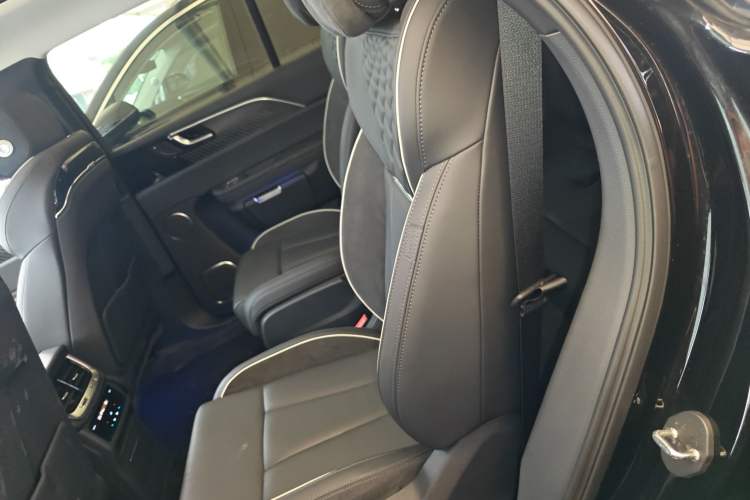 Used Hongqi E-HS9 2021 460 km Range Flagship Edition Six-Seater Left Rear Seat