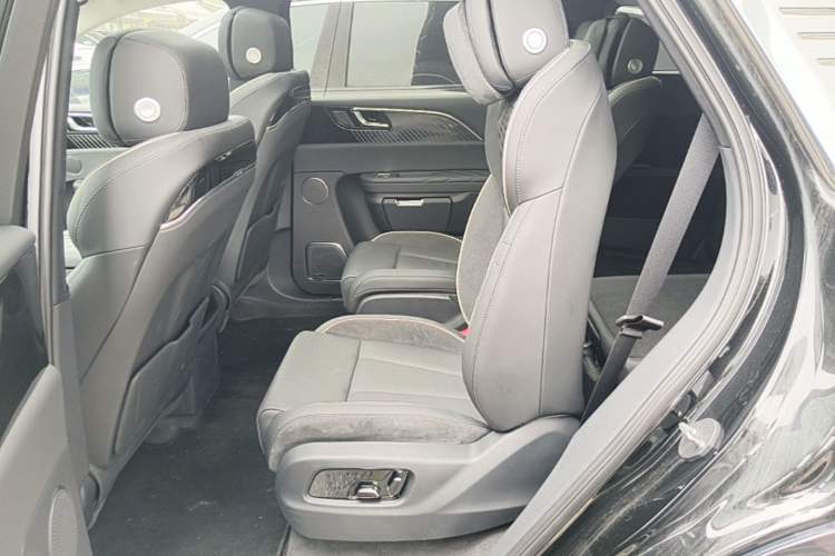 Used Hongqi E-HS9 2021 460 km Range Flagship Edition Six-Seater Left Rear Seat