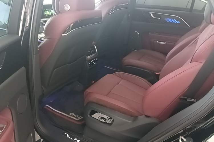 Used Hongqi E-HS9 2021 510 km Range Flagway Edition Six Seats Left Rear Seat