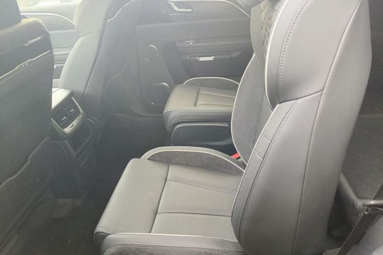 Used Hongqi E-HS9 2021 460 km Range Flagship Edition Six-Seater Left Rear Seat